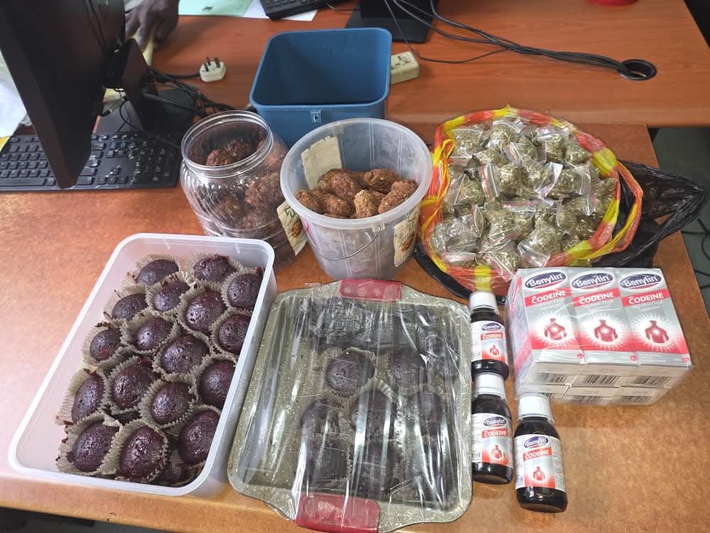 DEC and Police Arrest 36 Suspects at Lusaka Reggae Festival Over Drugs